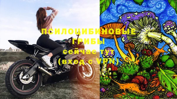 PSILOCYBIN Бронницы