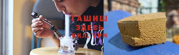 PSILOCYBIN Бронницы