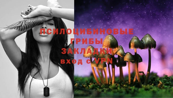 PSILOCYBIN Бронницы