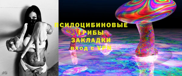 PSILOCYBIN Бронницы