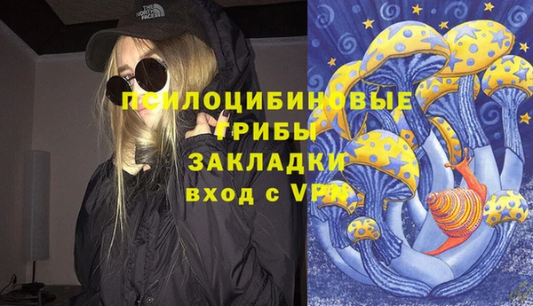 PSILOCYBIN Бронницы